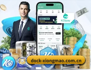 dock-xiongmao.com.cn APP 深度功能
